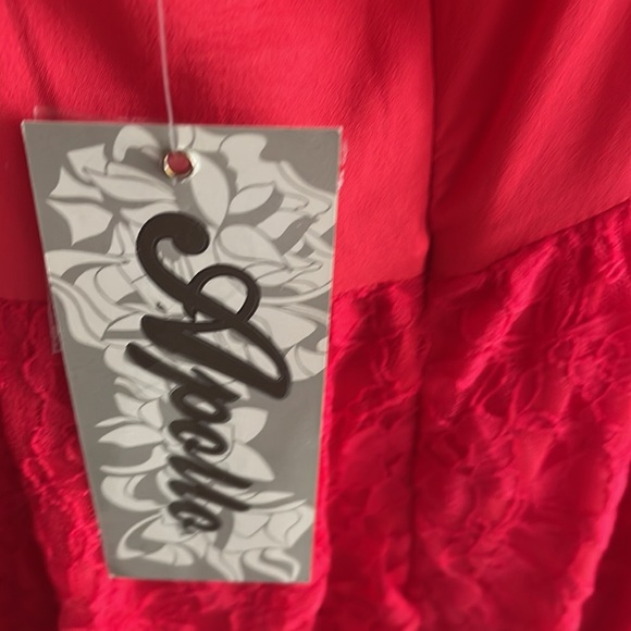 Cute Red Lace Dress Size Small - Picture 4 of 5